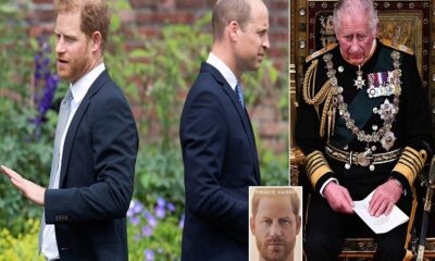 WATCH: Sensational Revelation: King Charles' Startling Claim About Prince William's Paternity - Harry in Line for Throne