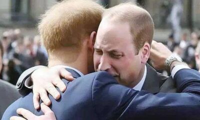 Breaking News: Fans are left in tears when Royal Prince William delivers the heartbreaking announcement, “My wife,