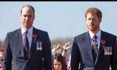 According to the source, the rift between the Prince of Wales and Harry "very bad” but not to the point that it’s "irreparable." The uplifting update comes after former royal butler, Grant Harrold, claimed that the William and Charles are considering to attend the 2027 Invictus Games in Birmingham, UK. Currently, Harry’s attempts to communicate with his brother, whether through texts, calls, and messages, are purposely ignored, which is causing him much distress. The rift between Princess Diana’s two sons started to surface in 2016 when Prince Harry’s relationship with Meghan began. William expressed his concerns about the nature of the relationship, upsetting Harry.