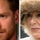 News On: Prince Harry goes viral with scathing two-word remark about Queen Camilla...see more