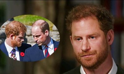 Secret Leaked: Prince Harry, Prince William's secret reunion details leaked...see more