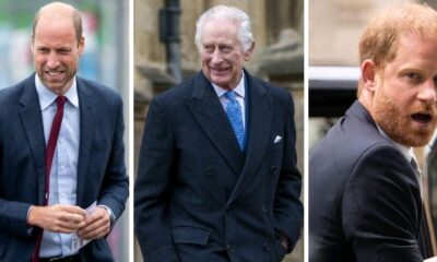 Breaking News: Olive Branch or Future Protection? King Charles and Prince William Project 'Interested in Peace' Message to Prince Harry to Safeguard Crown's Image...see more