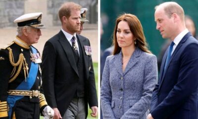 Breaking News: Prince William, Kate ‘dutifully’ accept King’s succession plans for Harry....see more