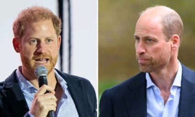 Prince Harry Awkwardly Gets Confused for Brother Prince William at California Fundraiser Concert...see more