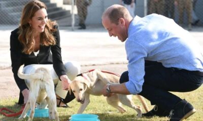 Exclusive: Prince William and Kate Middleton Let Their Dog Sleep in the Bed — Just Like Us!...see more