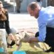 Exclusive: Prince William and Kate Middleton Let Their Dog Sleep in the Bed — Just Like Us!...see more