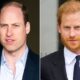 Prince William Recalls Emotional Childhood Memory with Prince Harry in First Public Mention of Brother in Years...see more