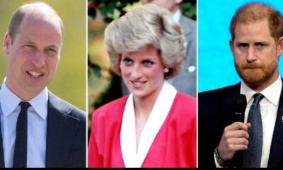 Breaking News: How Prince Harry and Prince William Plan to Avoid a Run-in at Princess Diana Charity Event...see more